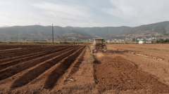 楚雄大姚龙街镇：机械化升级多元成长帮增收